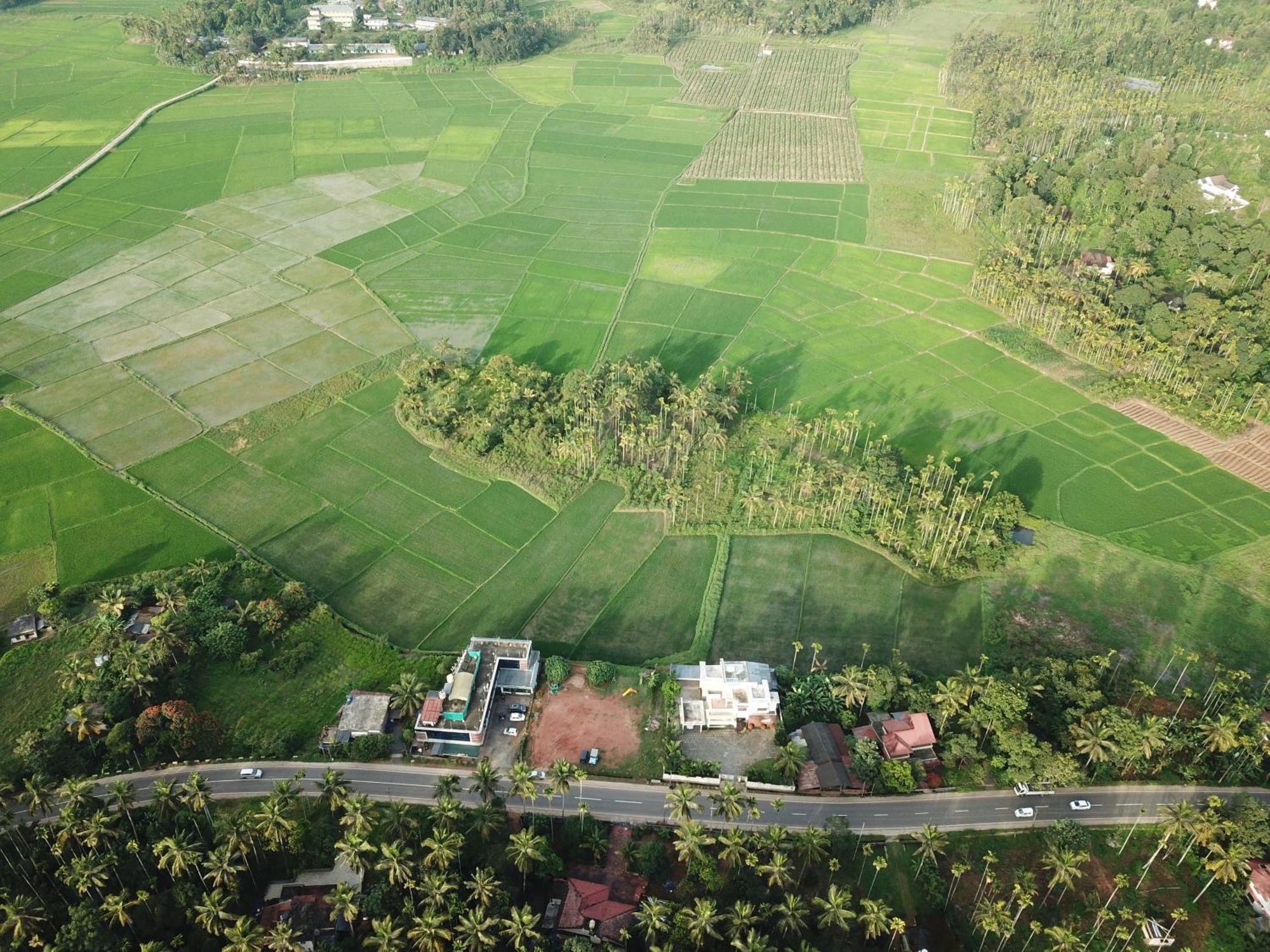 Paddyfield Inn Mananthavady Extérieur photo