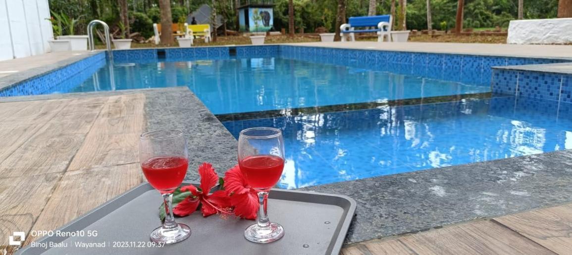 Paddyfield Inn Mananthavady Extérieur photo
