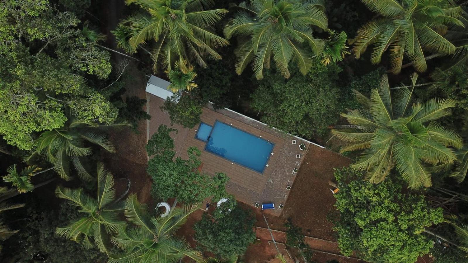 Paddyfield Inn Mananthavady Extérieur photo